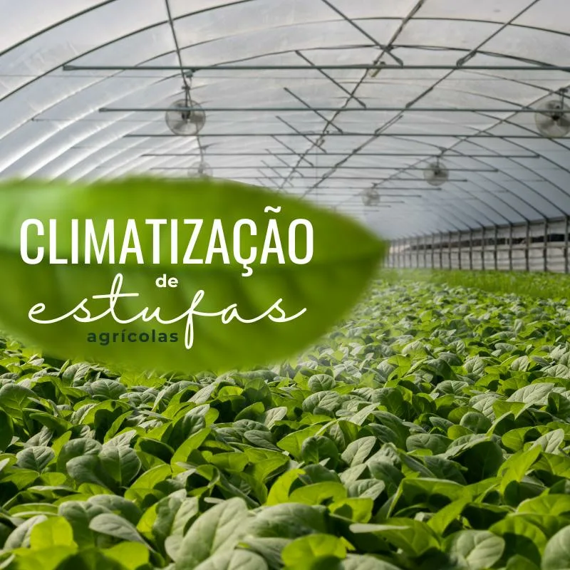 Climatização de estufas agrícolas