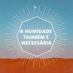 A importância do Humidificador de Ar