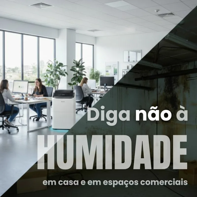 Diga não à humidade em casa e espaços comerciais