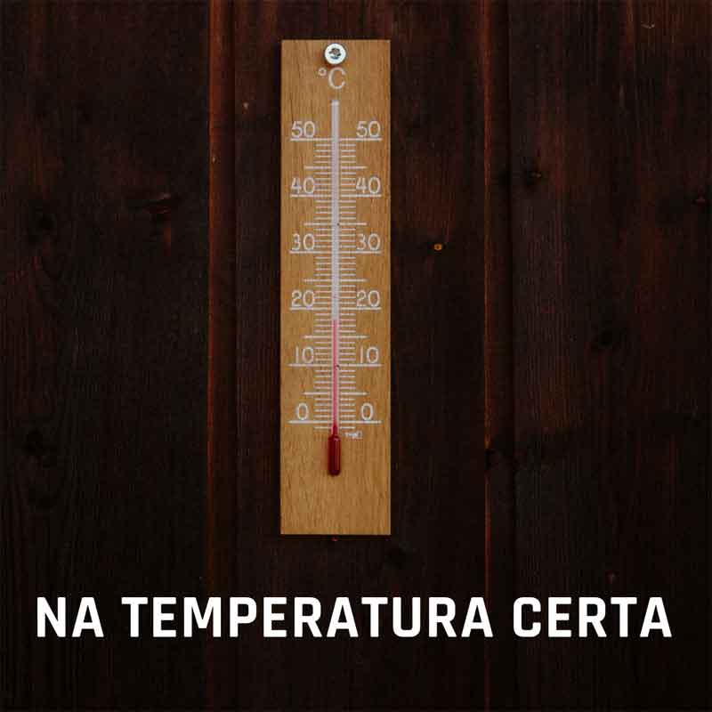 Porquê medir a temperatura?